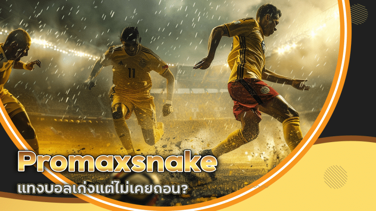 Promaxsnake แทงบอลเก่งแต่ไม่เคยถอน? เพราะคุณลืมสิ่งนี้