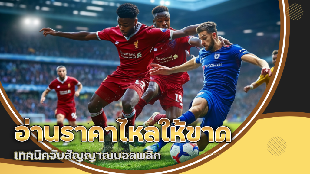 อ่านราคาไหลให้ขาด! เทคนิคจับสัญญาณบอลพลิก snakeplus