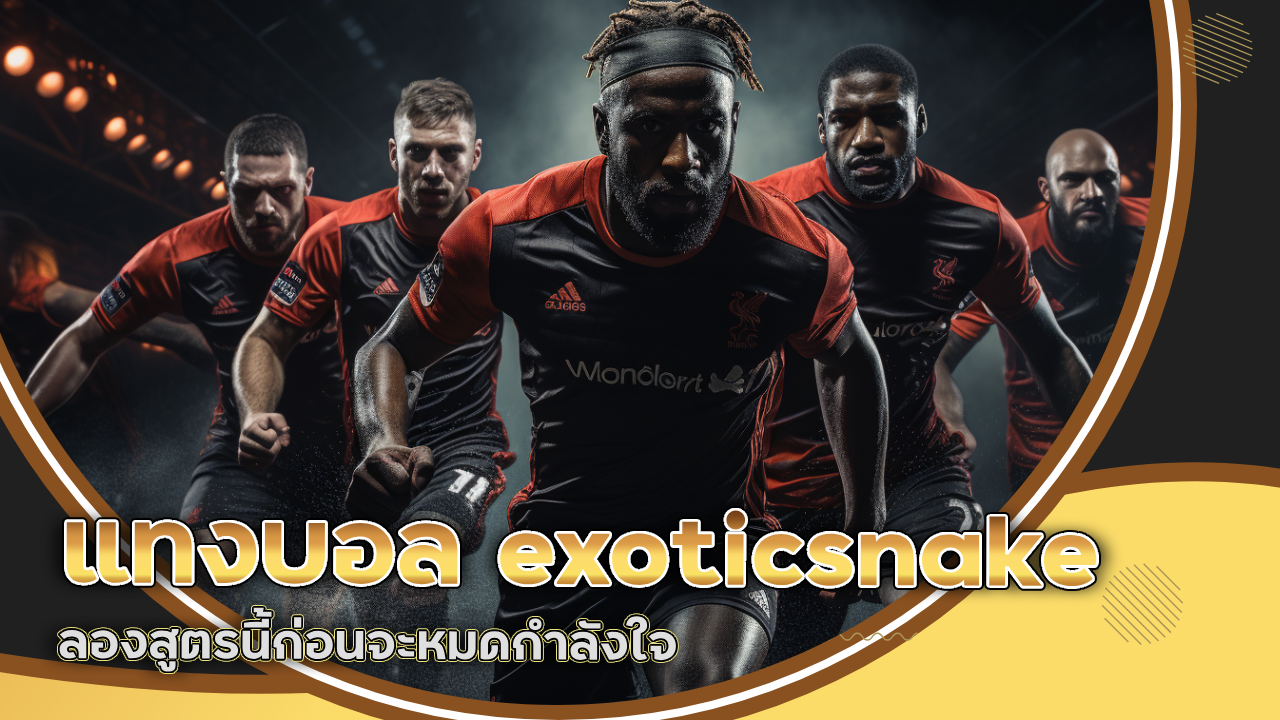 ทุน 50-100 ก็แทงบอล exoticsnake ได้ ลองสูตรนี้ก่อนจะหมดกำลังใจ