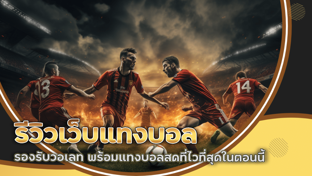 รีวิวเว็บแทงบอล siamvipse
